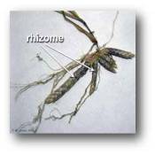 rhizome_leersia